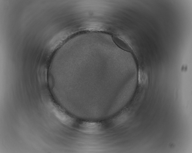 X0000110760205200907061103