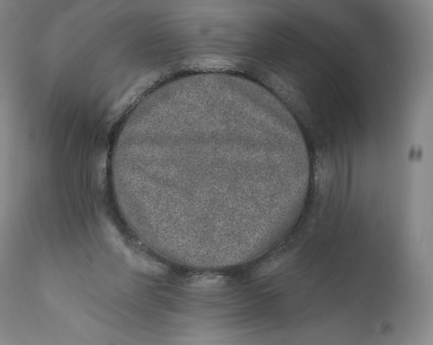 X0000110760206200907061103