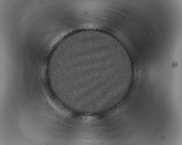 X0000110760208200907061103