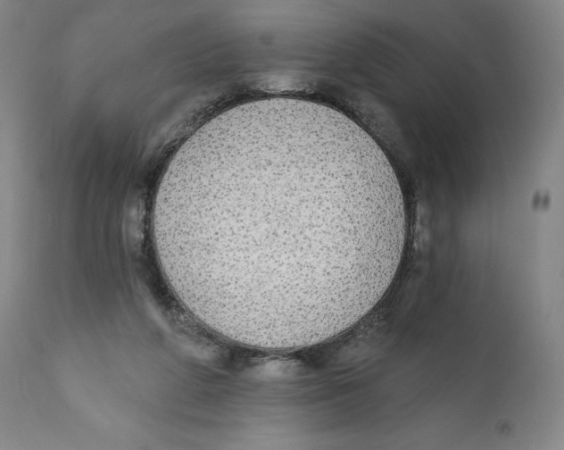X0000110760210200907061103