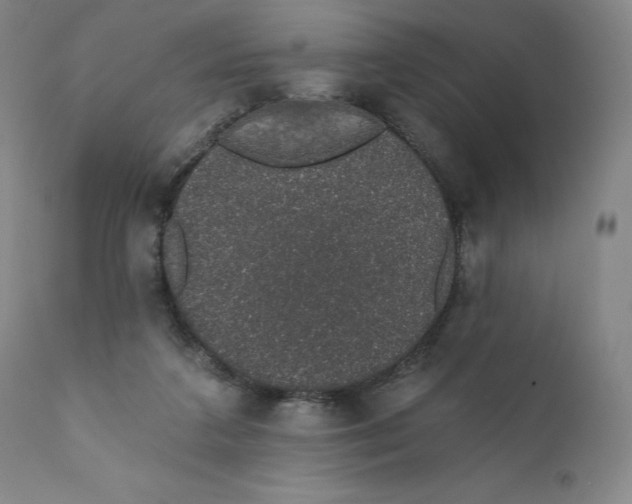 X0000110760211200907061103