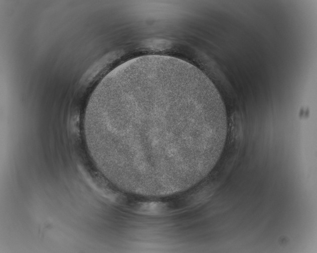 X0000110760212200907061103