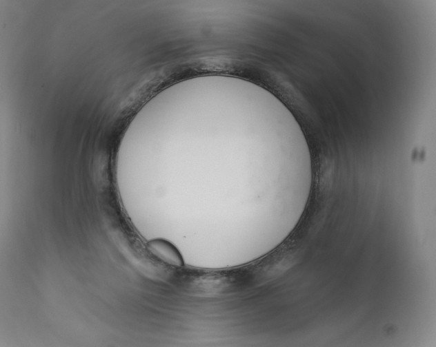 X0000110760213200907061103