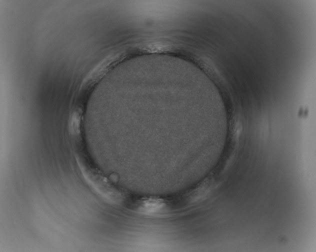 X0000110760214200907061103