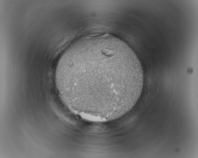 X0000110760215200907061103