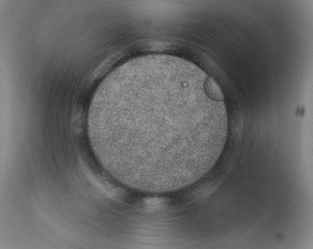 X0000110760216200907061103