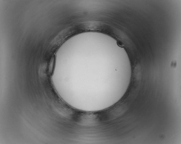 X0000110760217200907061103