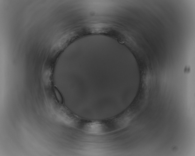 X0000110760219200907061103