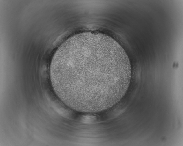 X0000110760220200907061102