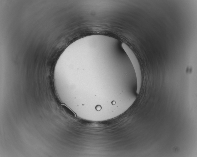 X0000110760221200907061102