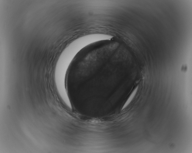 X0000110760223200907061102