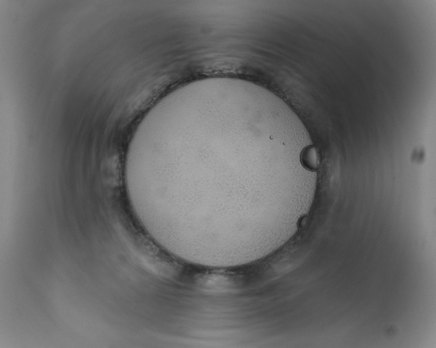 X0000110760224200907061102