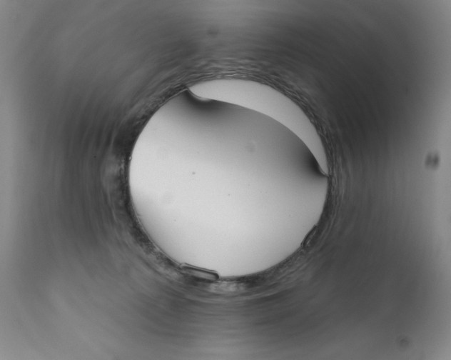 X0000110760225200907061102