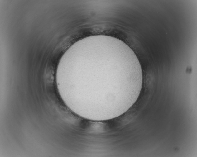 X0000110760226200907061102