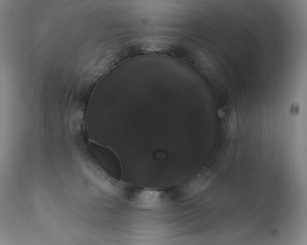 X0000110760227200907061102