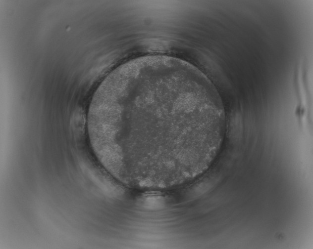 X0000110760228200907061102