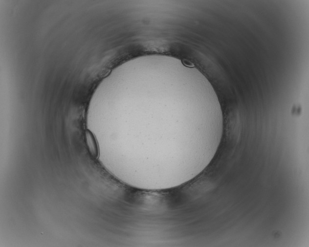 X0000110760229200907061102