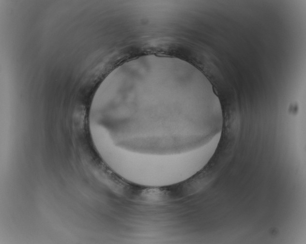 X0000110760231200907061102