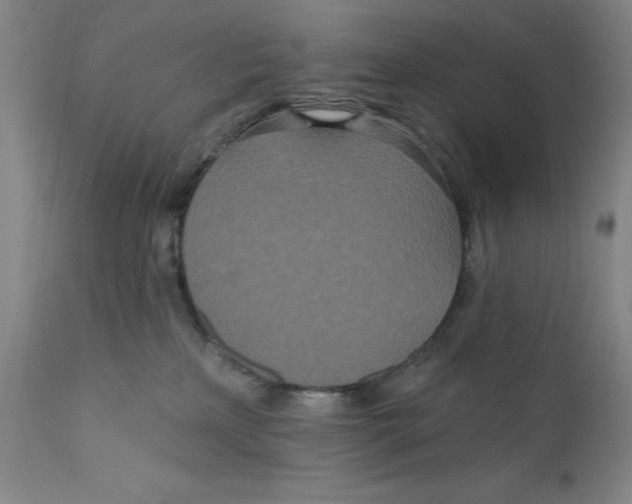 X0000110760233200907061102