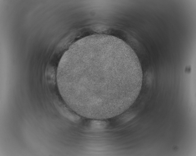 X0000110760234200907061102