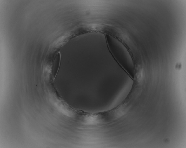 X0000110760235200907061102