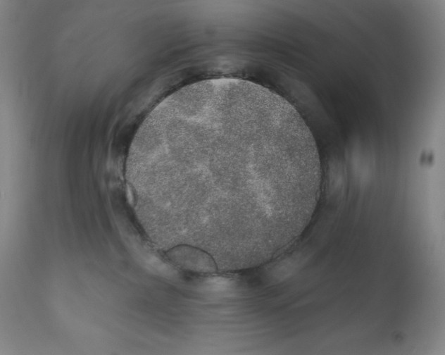 X0000110760236200907061102