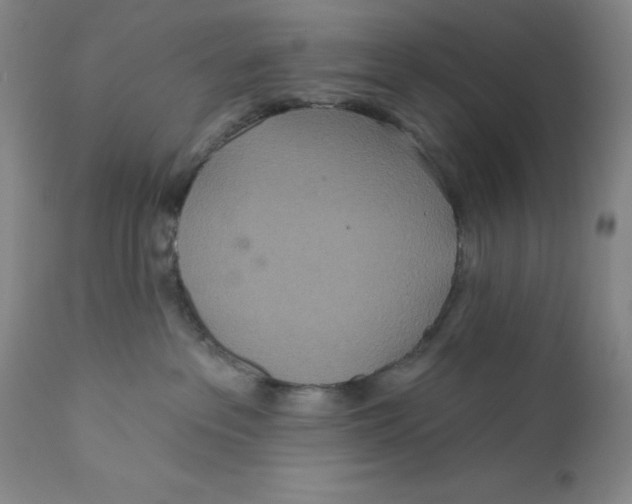 X0000110760237200907061102