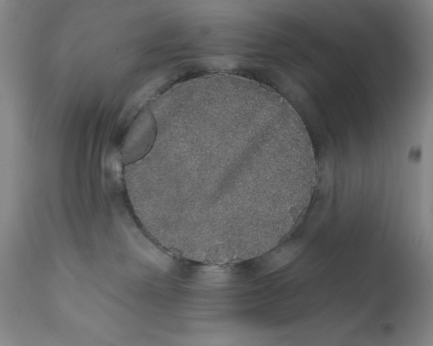 X0000110760238200907061102