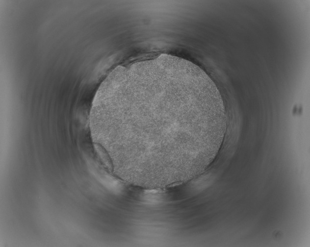 X0000110760240200907061102