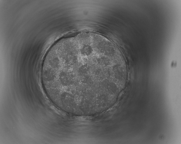 X0000110760241200907061102