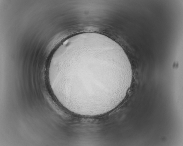 X0000110760242200907061102