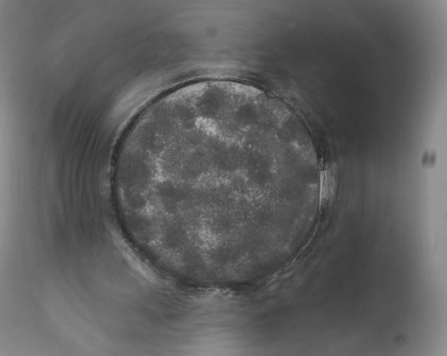 X0000110760243200907061102