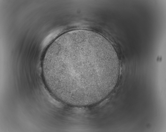 X0000110760245200907061102