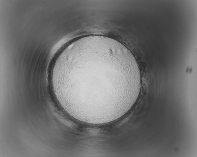 X0000110760246200907061102