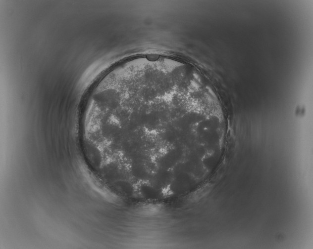 X0000110760247200907061102