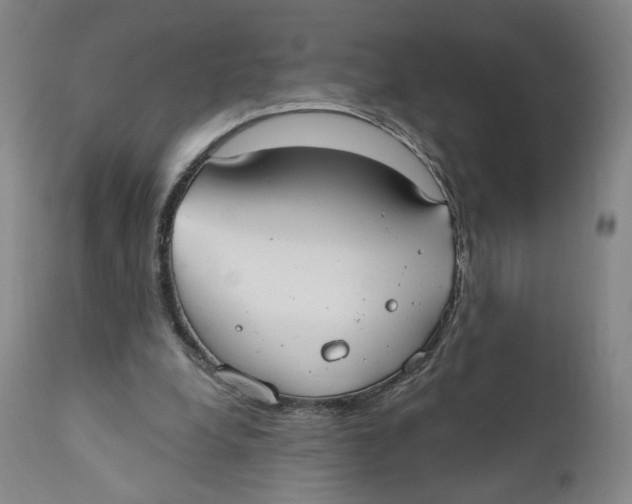 X0000110760248200907061102