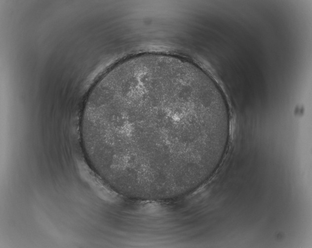 X0000110760249200907061102