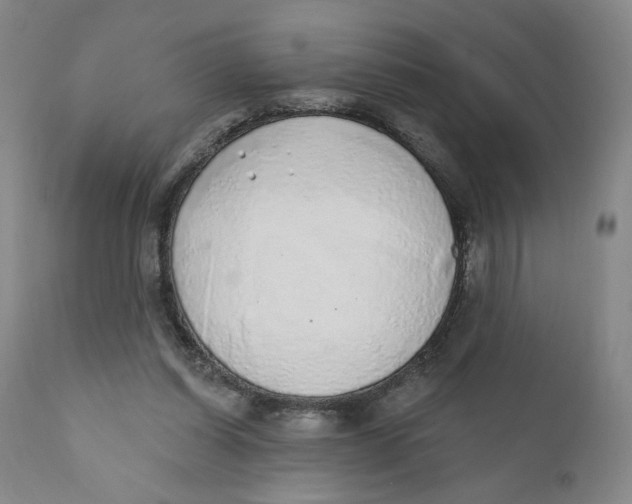 X0000110760254200907061102