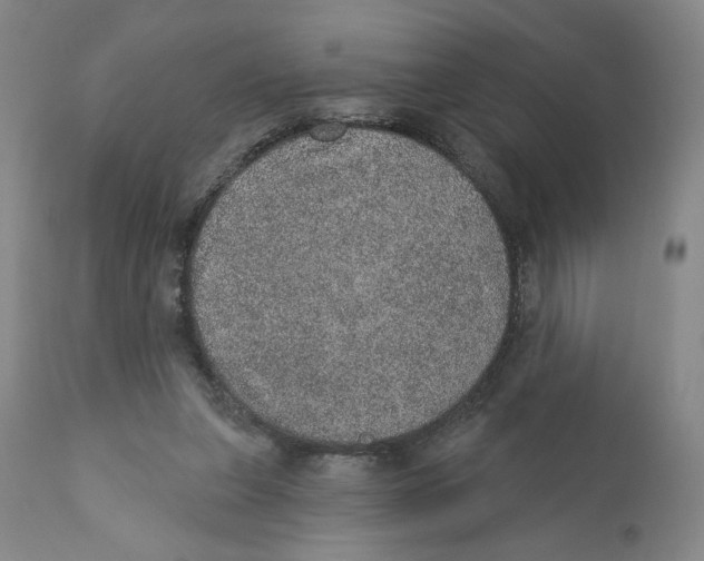 X0000110760255200907061102