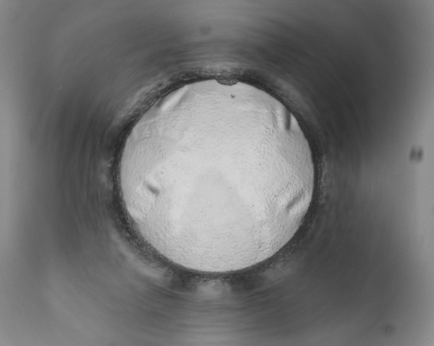 X0000110760258200907061102