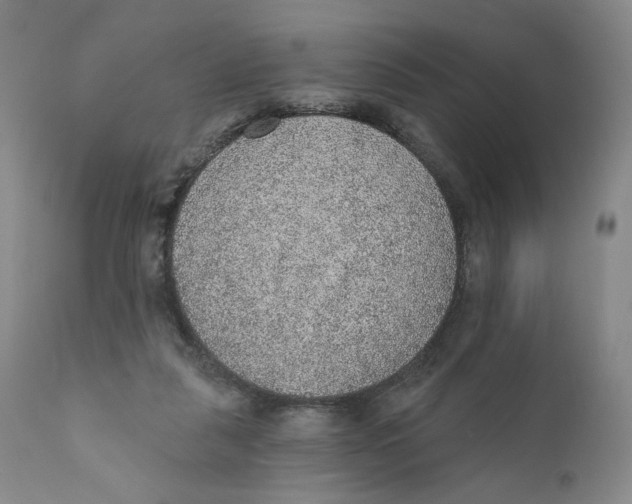 X0000110760259200907061102