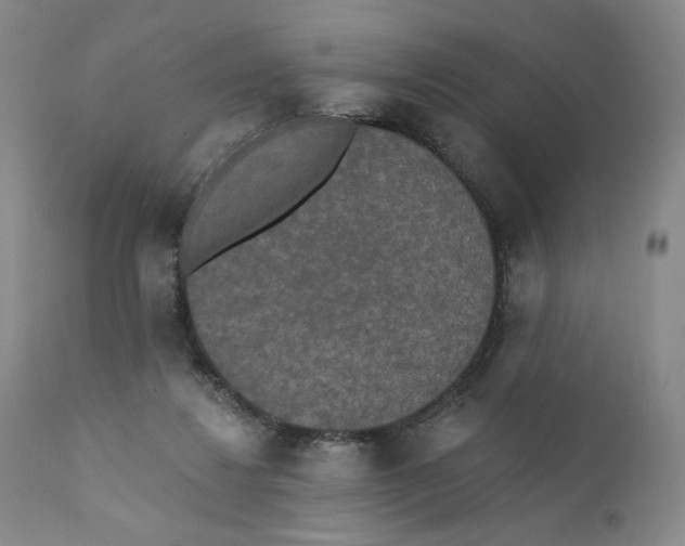 X0000110760260200907061102