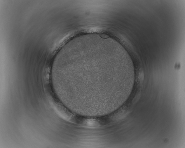 X0000110760264200907061102