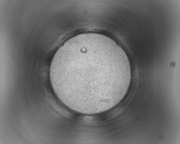 X0000110760265200907061102