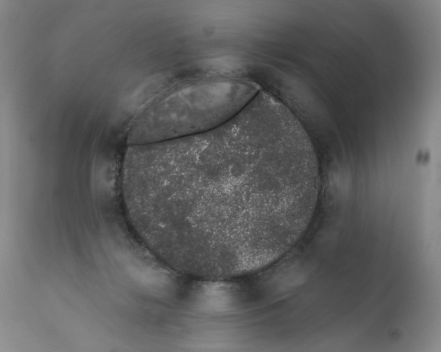 X0000110760268200907061102