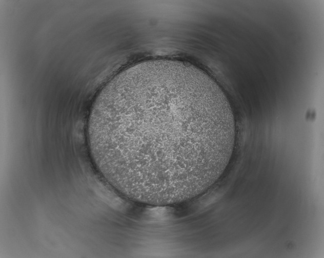 X0000110760269200907061102