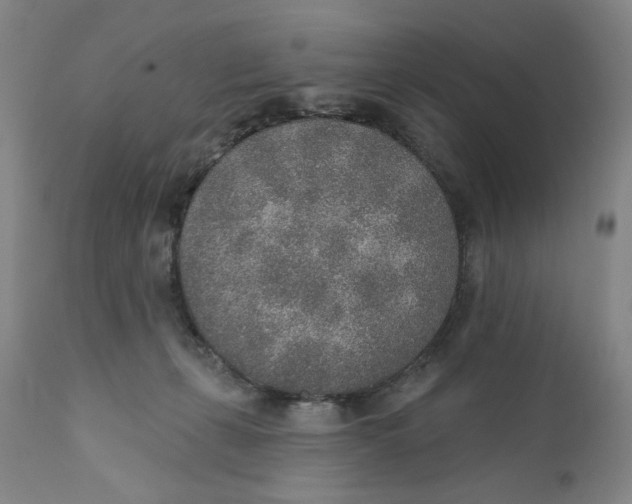 X0000110760271200907061102