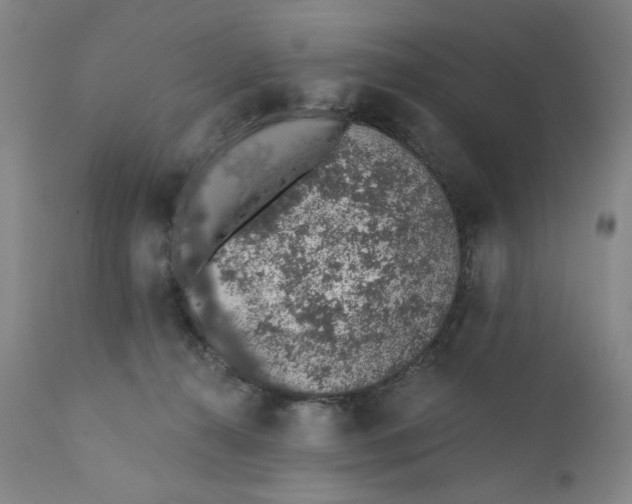 X0000110760272200907061102