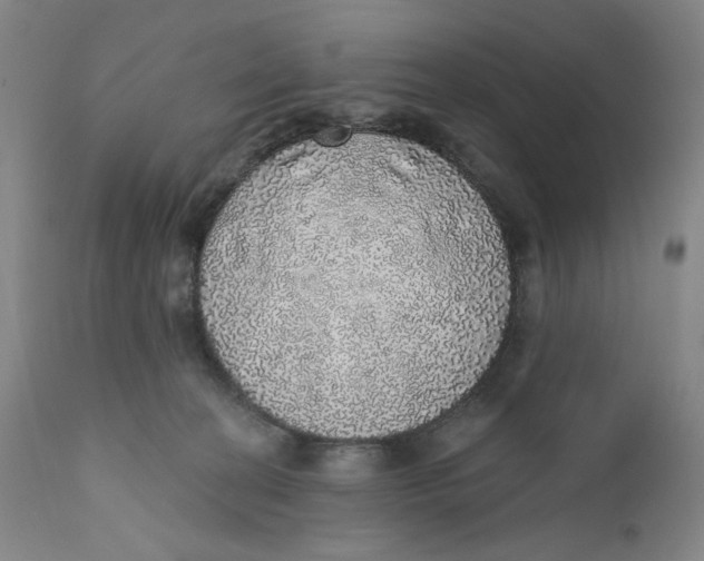 X0000110760274200907061102