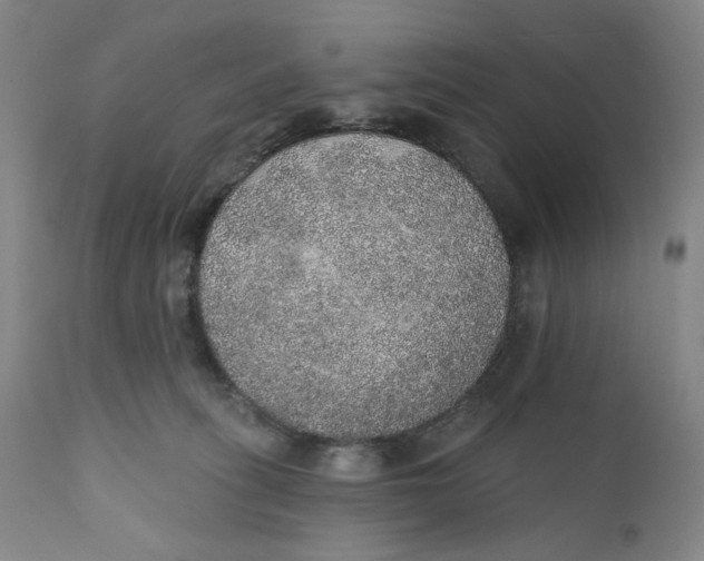 X0000110760275200907061102